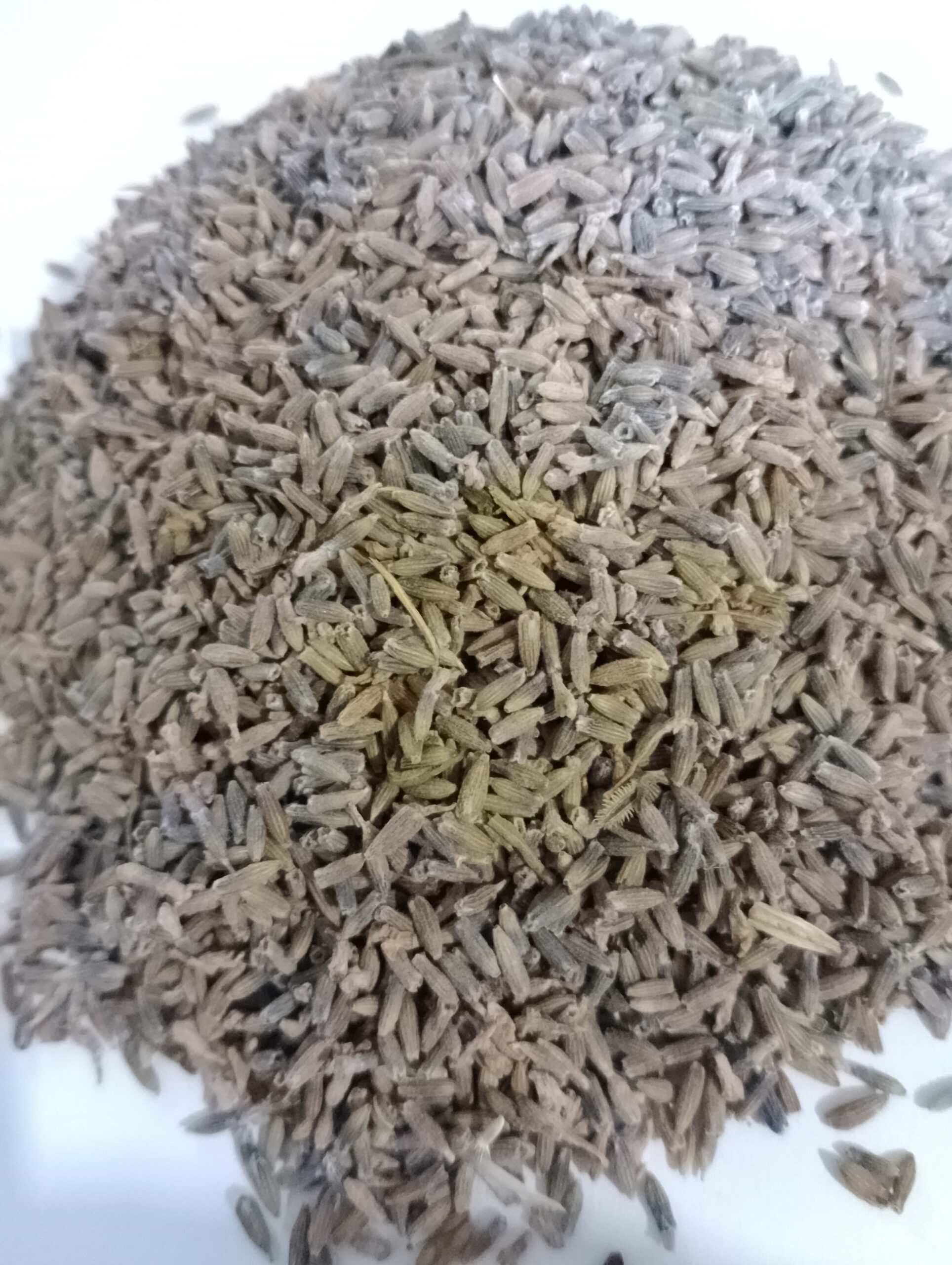 Fleurs de lavande fine séchées chez Le Monde magique des Arts Martiaux